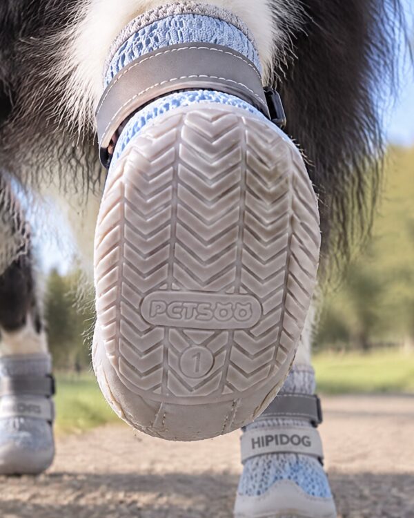 Everyday Two-Strap Mesh Dog Boots