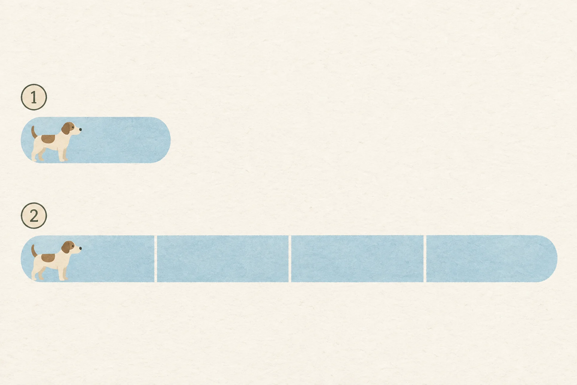 Flat editorial diagram comparing two horizontal blue bars, each with the same small dog silhouette at its left end. The upper bar, marked one, is short and represents a fifty-pound dog's whole-day water baseline. The lower bar, marked two, runs almost the full width and is divided into four equal segments, representing what the popular per-hour figure would add up to over a four-hour hike.