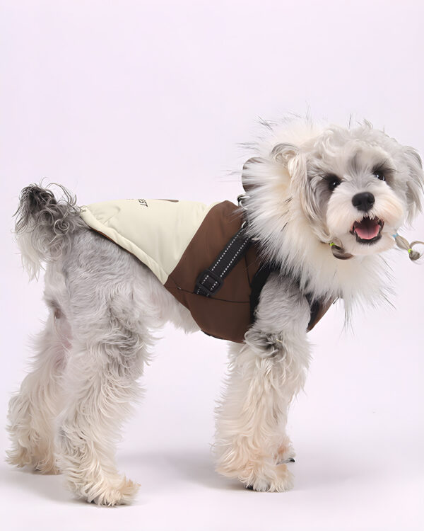 Side view of a dog in the brown padded vest, harness webbing over the shoulder and a buckle at the flank