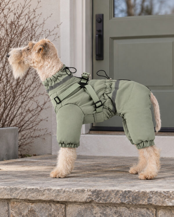 Built-In-Harness Four-Leg Dog Winter Suit