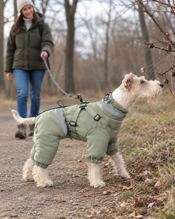 A terrier in the sage green suit sniffs beside a park path while its owner pauses nearby.