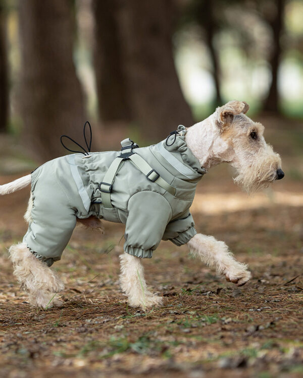 A terrier walks through woodland wearing the sage suit with four gathered leg cuffs.