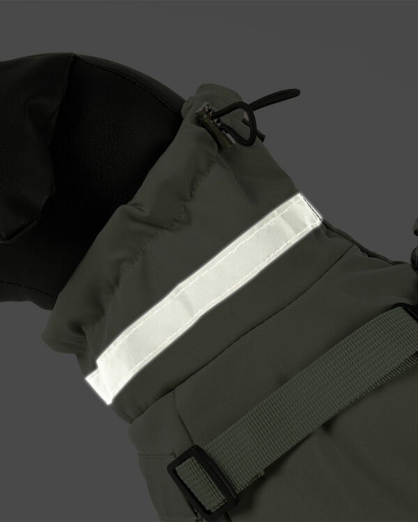 A silver reflective strip crosses the collar fabric beside an adjustable harness strap.
