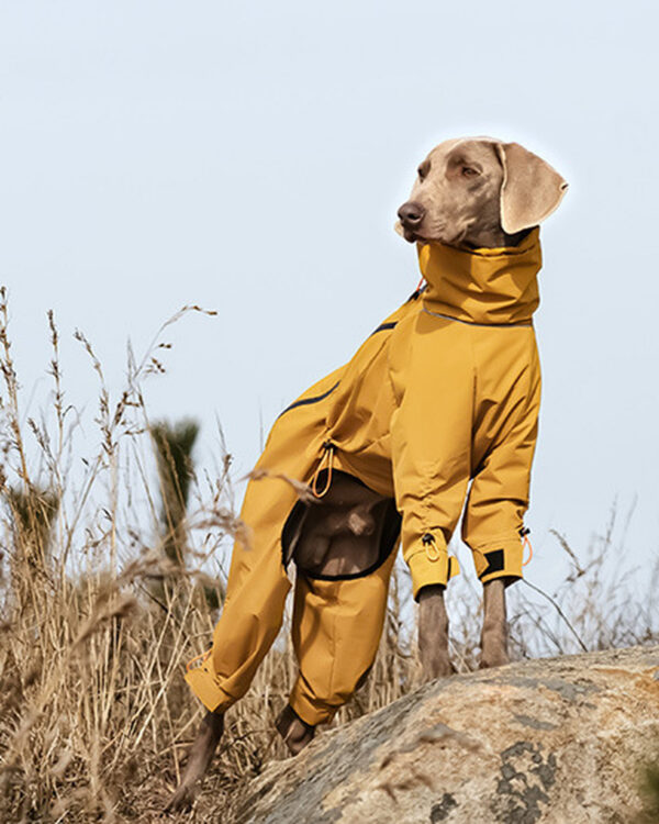Fleece-Lined Four-Leg Dog Winter Suit