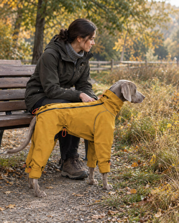 A gray dog in the mustard four-leg suit pauses beside its owner on a dry autumn park path.